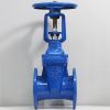 Van cửa ty nổi Unik DN50